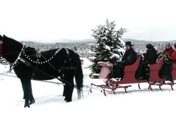 Sleigh Rides